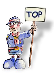 TOP Scout Insurance